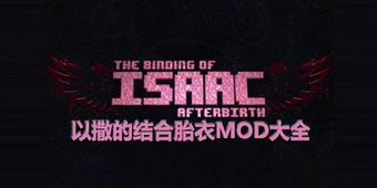 以撒的結(jié)合胎衣mod大全