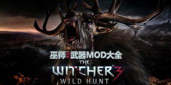 巫師3：狂獵武器MOD大全