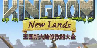 王國新大陸修改器大全