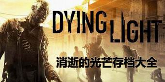 消逝的光芒存檔大全