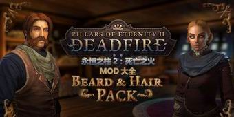 永恒之柱2：死亡之火MOD大全