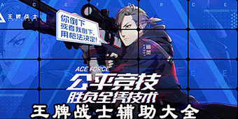 王牌戰士輔助大全
