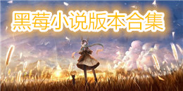 黑莓小說(shuō)版本合集