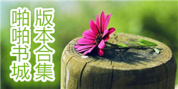 啪啪書城版本合集