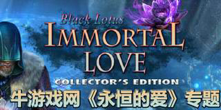 永恒的愛系列游戲大全