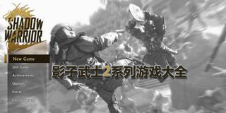 影子武士2系列游戲大全