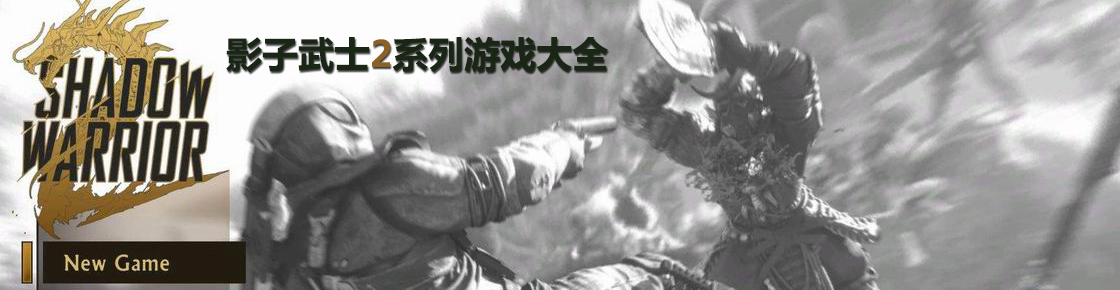 影子武士2系列游戲大全