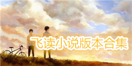 飛讀小說版本合集
