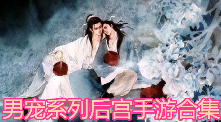 男寵系列后宮手游合集