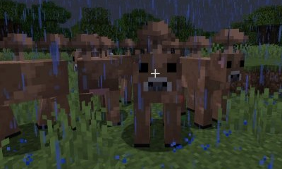 《我的世界》手游哞菇位置一覽