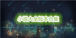 小說大全版本合集