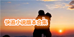 快追小說版本合集