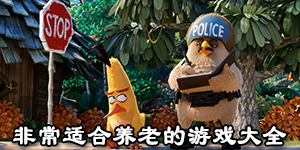 非常適合養老的游戲大全