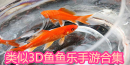 類似3D魚魚樂手游合集