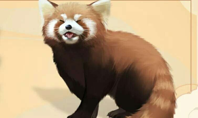 《一夢江湖》手游玩具幻·御寒一覽