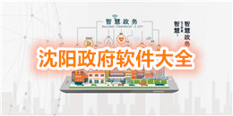 沈陽政府軟件大全