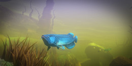 海底大獵殺版本大全