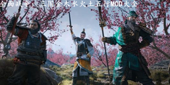 全面戰(zhàn)爭(zhēng)：三國(guó)金木水火土五行MOD大全