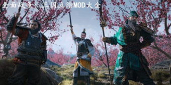 全面戰(zhàn)爭(zhēng)：三國(guó)立繪MOD大全