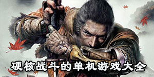 硬核戰(zhàn)斗的單機游戲大全