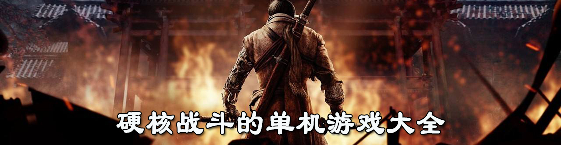 硬核戰斗的單機游戲大全