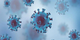 感染類游戲合集