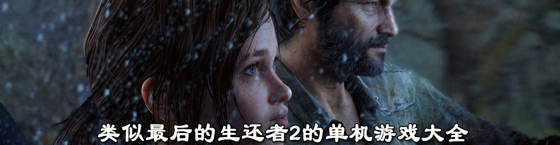 類似最后的生還者2的單機(jī)游戲大全