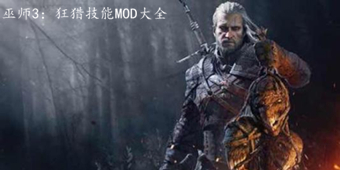 巫師3：狂獵技能MOD大全