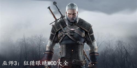 巫師3：狂獵眼睛MOD大全