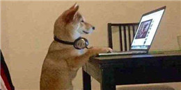 90后最愛的追劇軟件合集