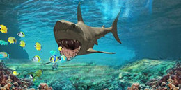 食人魚游戲合集