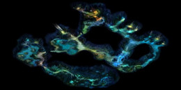 地穴探索游戲合集