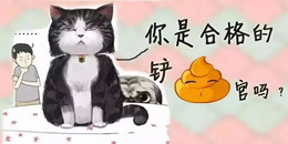 鏟屎官手游合集