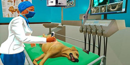 獸醫(yī)題材游戲合集