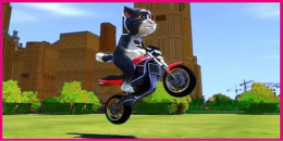 湯姆貓飛車手游合集