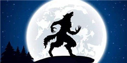 偏社交的手游合集