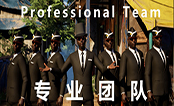专业团队中文版