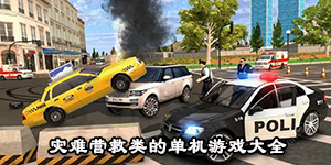 災難營救類的單機游戲大全