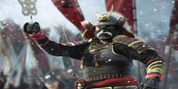 陣營(yíng)PVP游戲合集