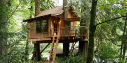 樹屋題材手游合集