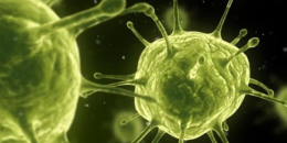 細胞進化手游合集