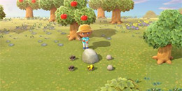 植樹題材游戲合集