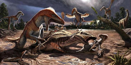 模擬捕食游戲合集