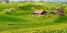 田園自然風光游戲合集