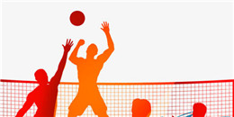 體育運動比賽手游合集