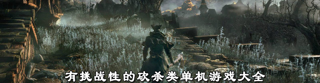 有挑戰性的砍殺類單機游戲大全