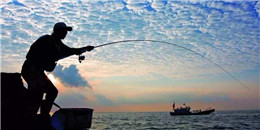 出海釣魚手游合集