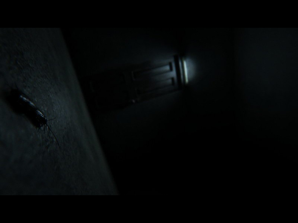 P.T.