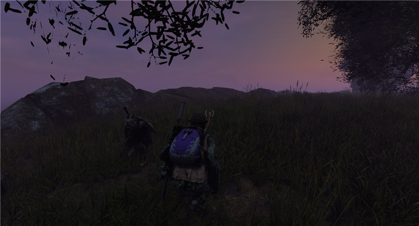 DayZ