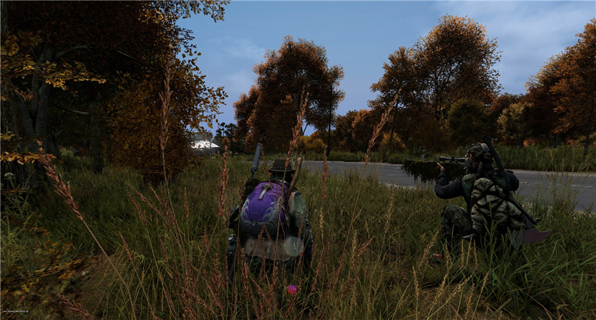 DayZ